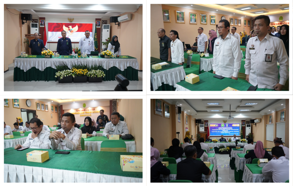 Collage Mou 1