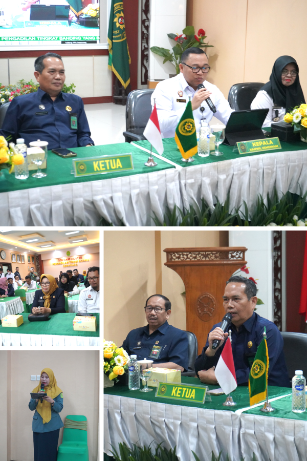 Collage Mou 3