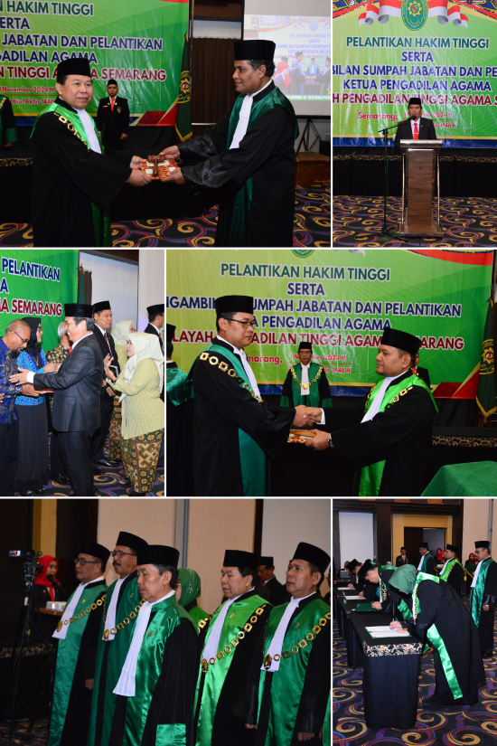 collage plt 5